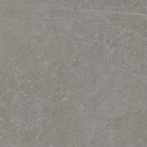 City Hamilton tile from The Tile Distro