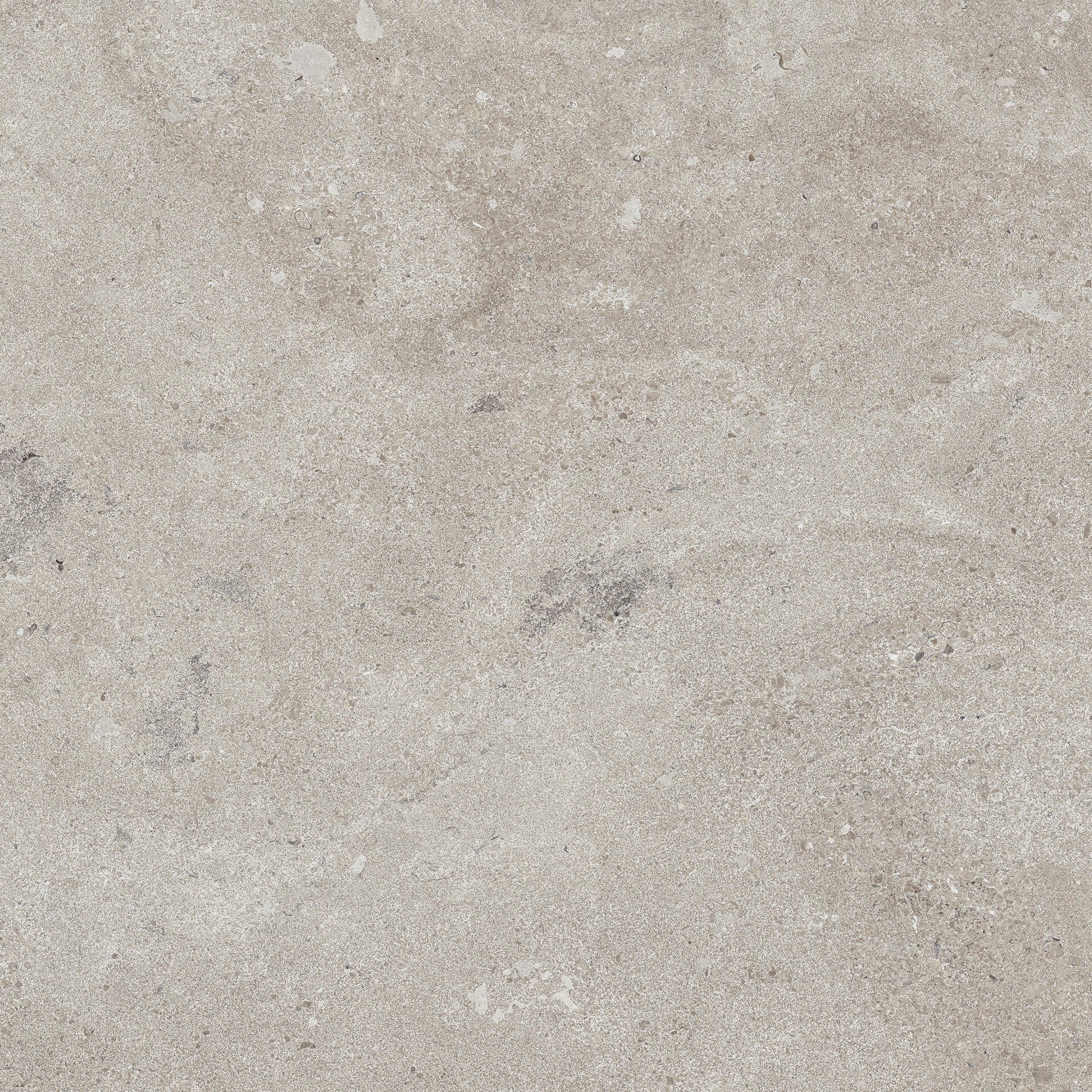 Portland Gris tile from The Tile Distro