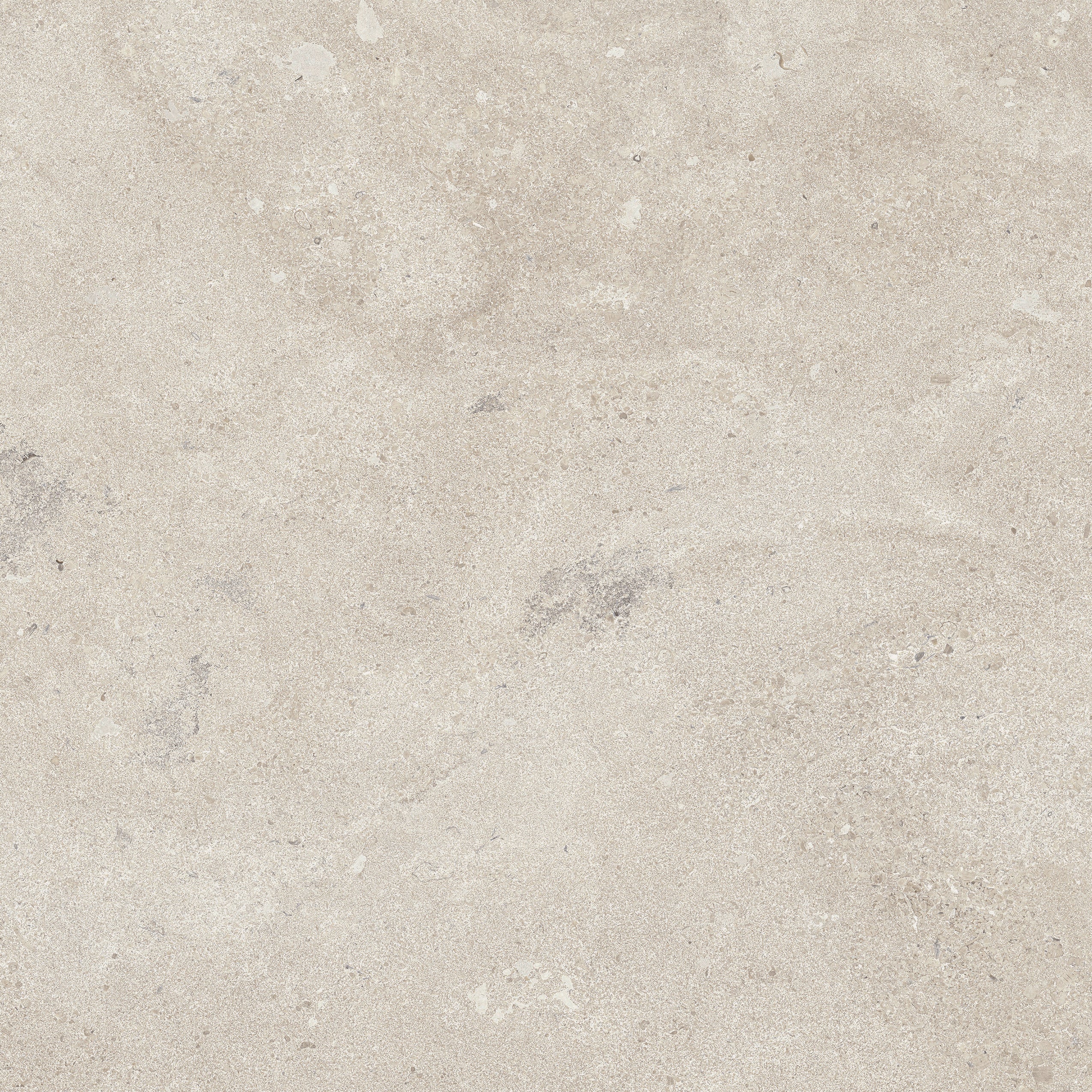Portland Marfil tile from The Tile Distro