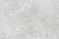 Saint Lucia Silver tile from The Tile Distro