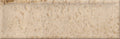 Volt Beige tile from The Tile Distro